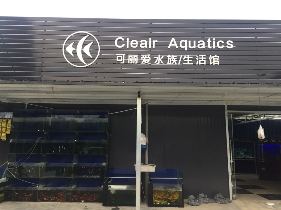 可丽瞹水族生活馆(城南花市店)