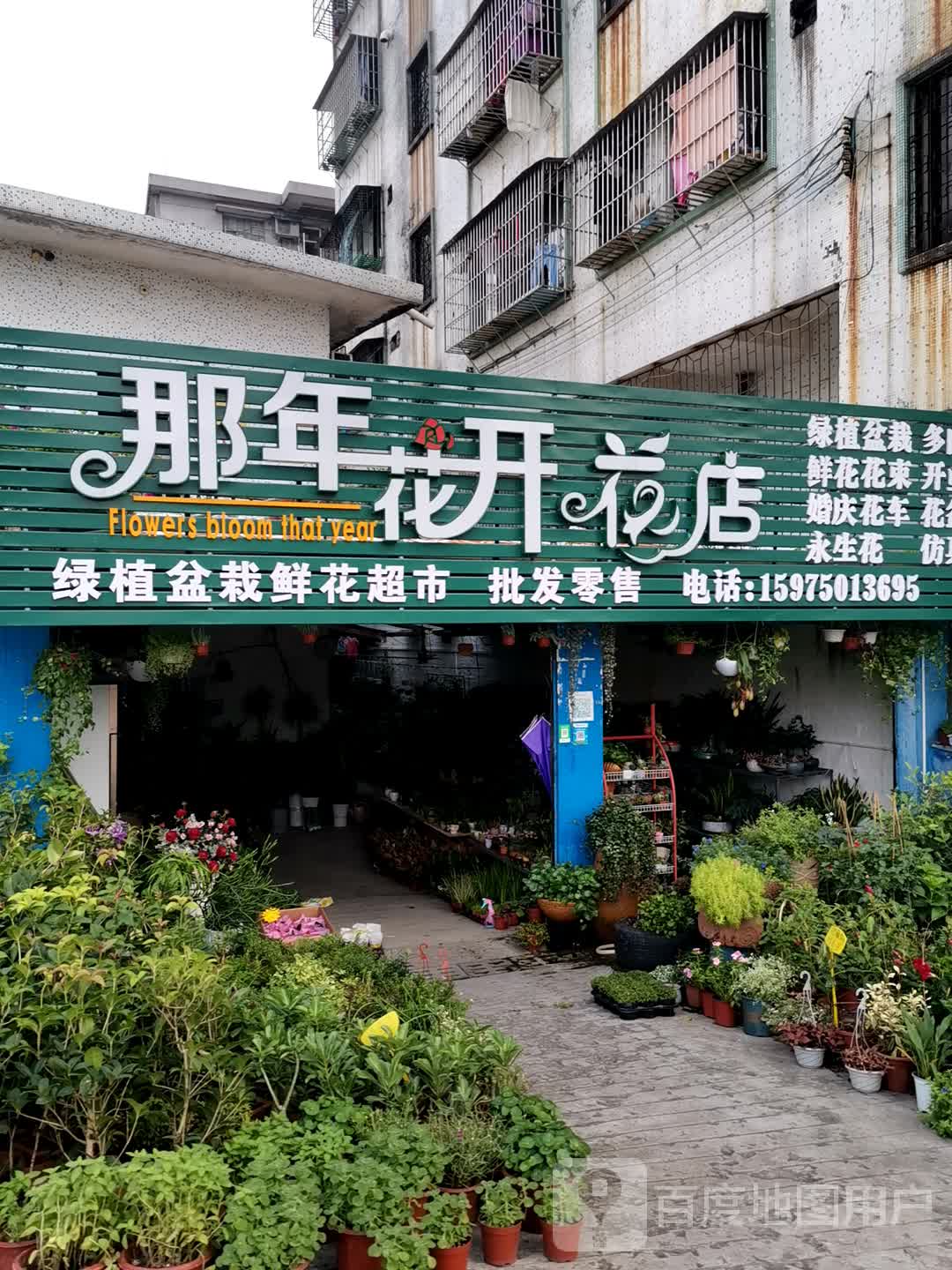 那年花开花店
