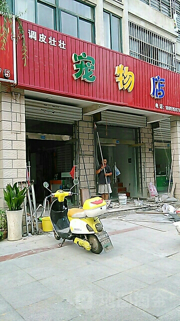 调皮壮壮宠物诊所