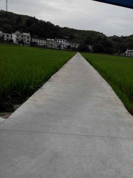 谭台古城遗址