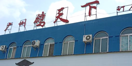 广州鸽天下(北流分店)