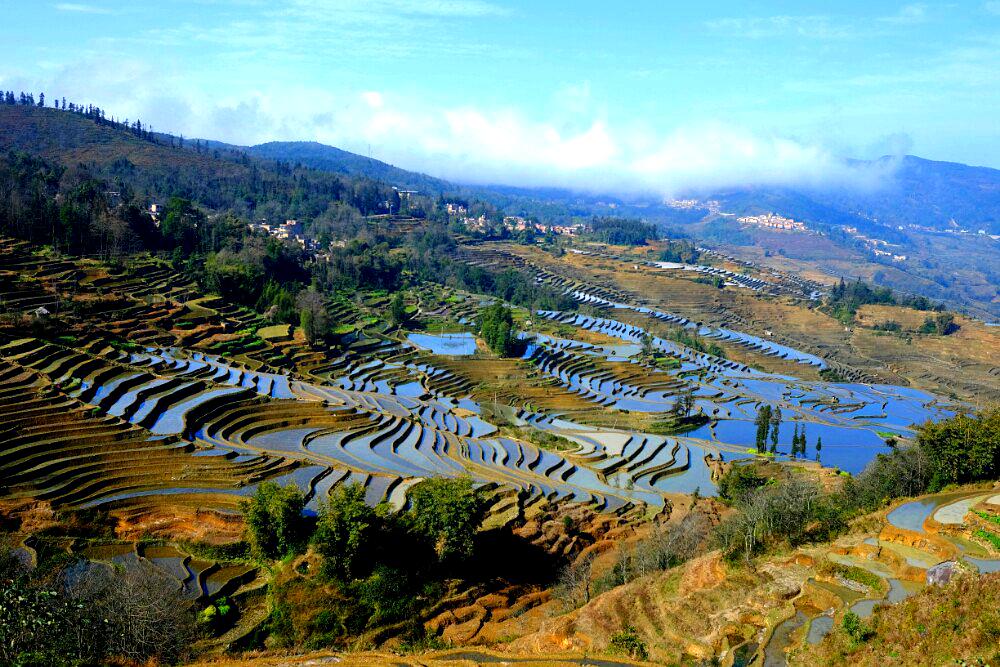 云南省红河哈尼族彝族自治州元阳县新街镇大坪公路元阳梯田景区