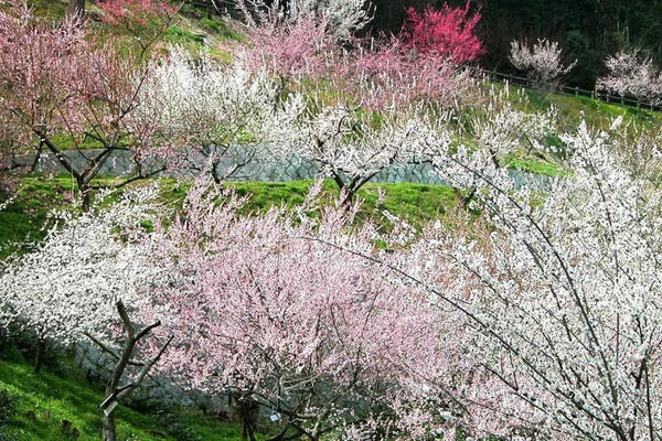 云乡风景区