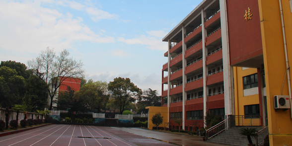 高琦小学