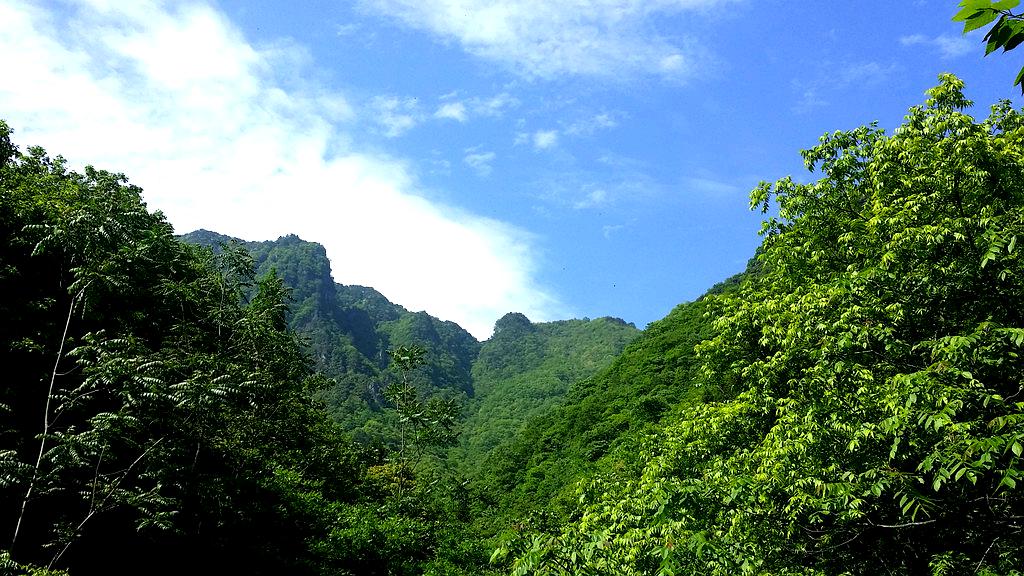 海停车石城