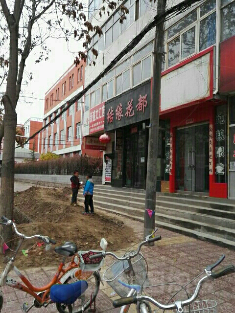 结缘花都