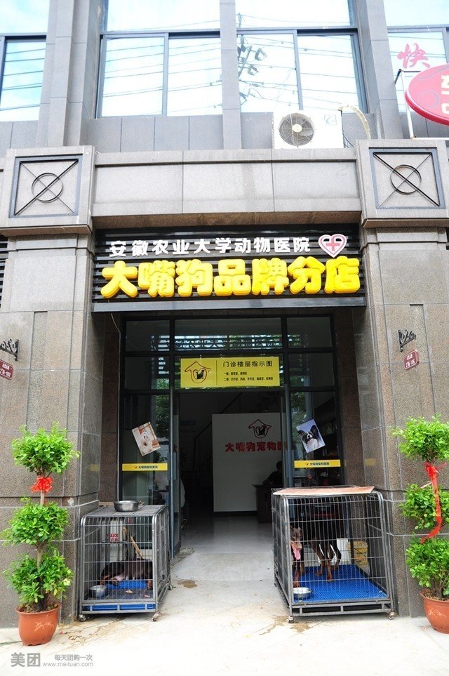 大嘴狗宠物医院(义井路店)