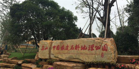 森山中国铁皮石斛地理公园