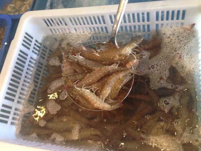 小鱼海鲜餐厅((绿地店)