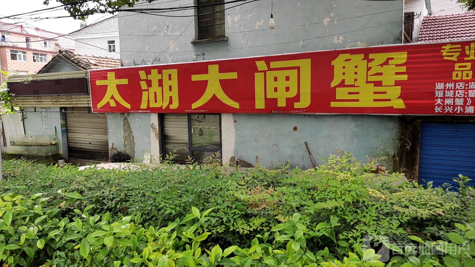 太湖大宅蟹