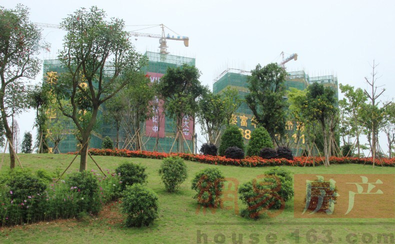 广东省深圳市坪山区马峦街道马峦社区马峦南路8号