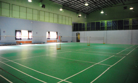 振羽羽毛球俱乐部