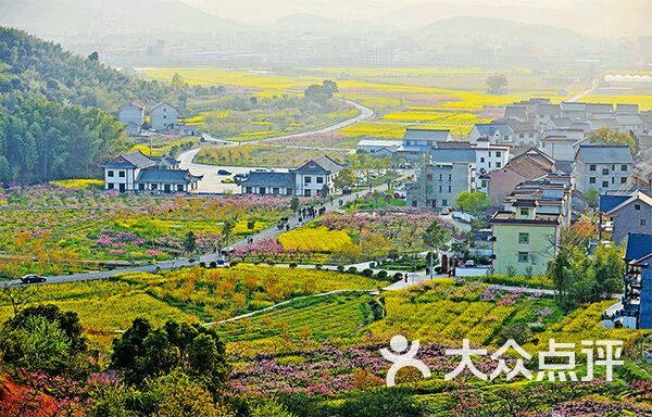 浙江省杭州市桐庐县阳山畈景区(李阳线南)