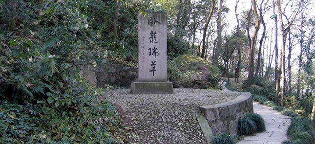卧龙山公园