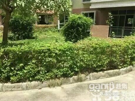 河源市万绿雅园小区