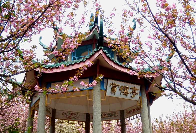 标签:旅游景点 风景区湖南科技大学-樱花园共多少人浏览:4030380电话