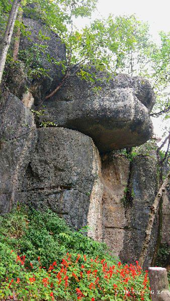 罗浮山旅游区区-接待室