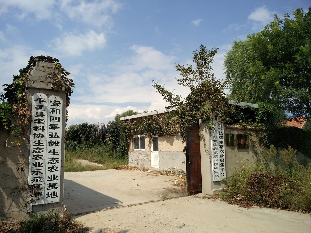 临沂市平邑县卞桥镇蒋家庄村