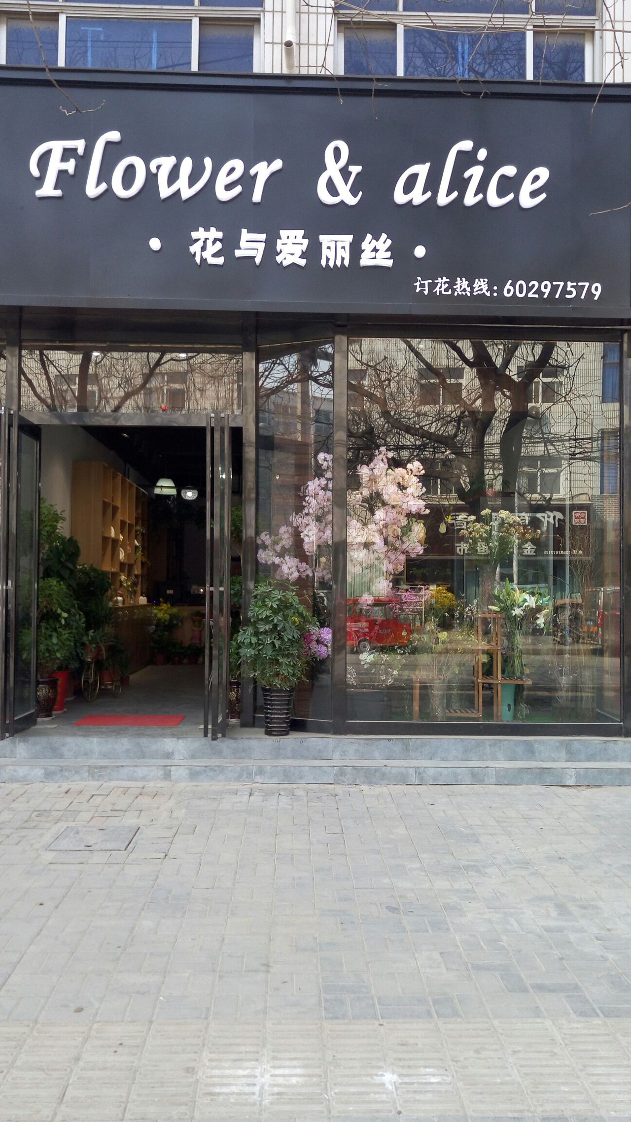 花与爱丽丝(金城路店)