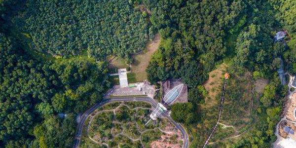 香港回归纪念林