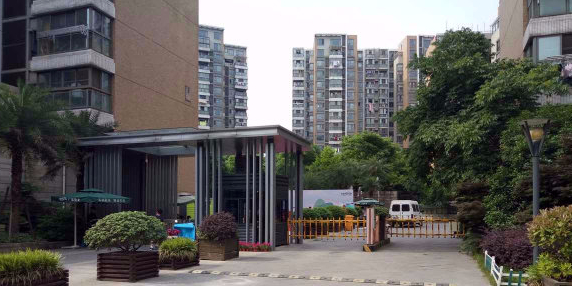 灵猫再生志愿回收(桦枫居北区网点)