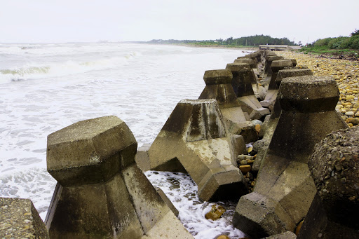 漂流木公园