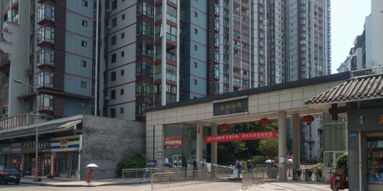 腾龙御锦