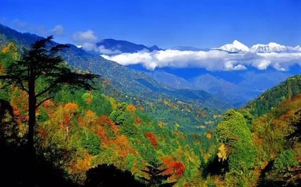 田湾河风景名胜区