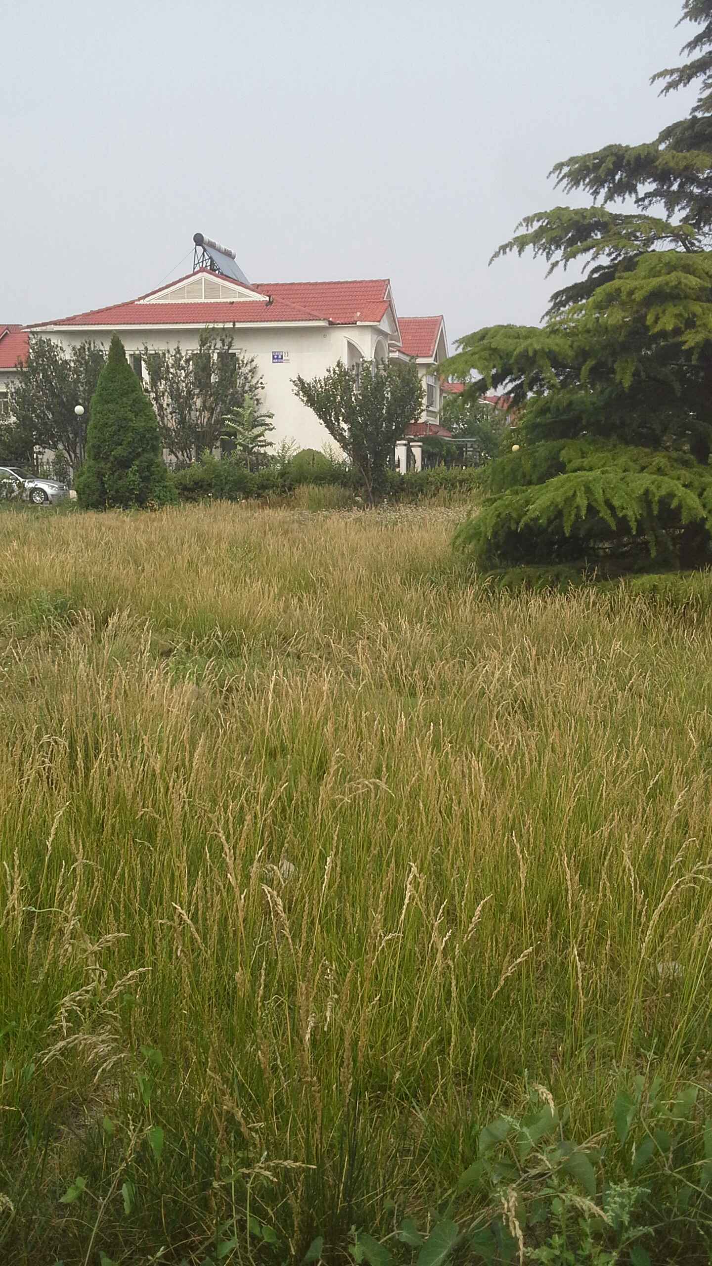 红顶花园中园-23栋