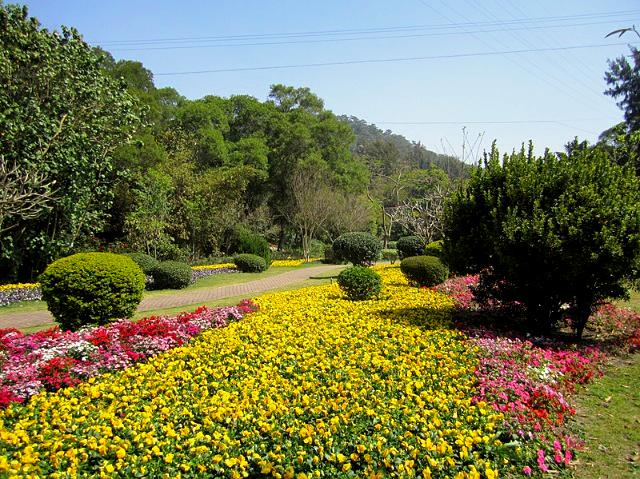 厦门园林w植物园-花卉园