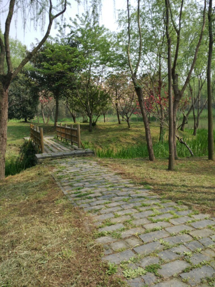 宋夹城体育休闲公园-停车场
