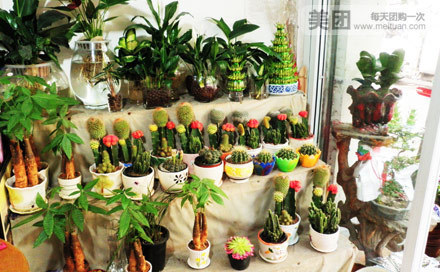 商城花店
