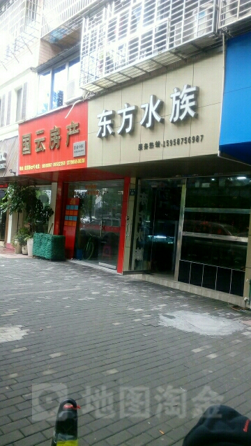 东风水族