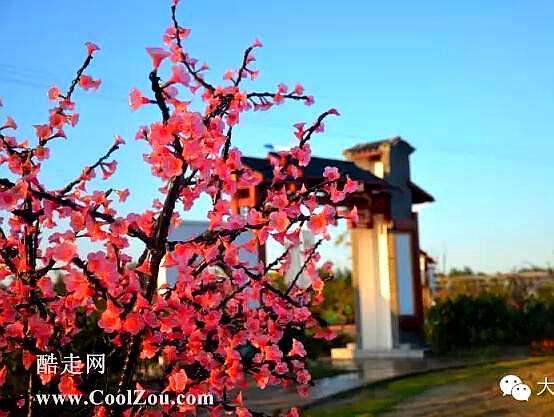 东方桃花洲景区