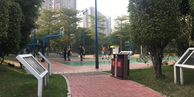 芒果篮球场