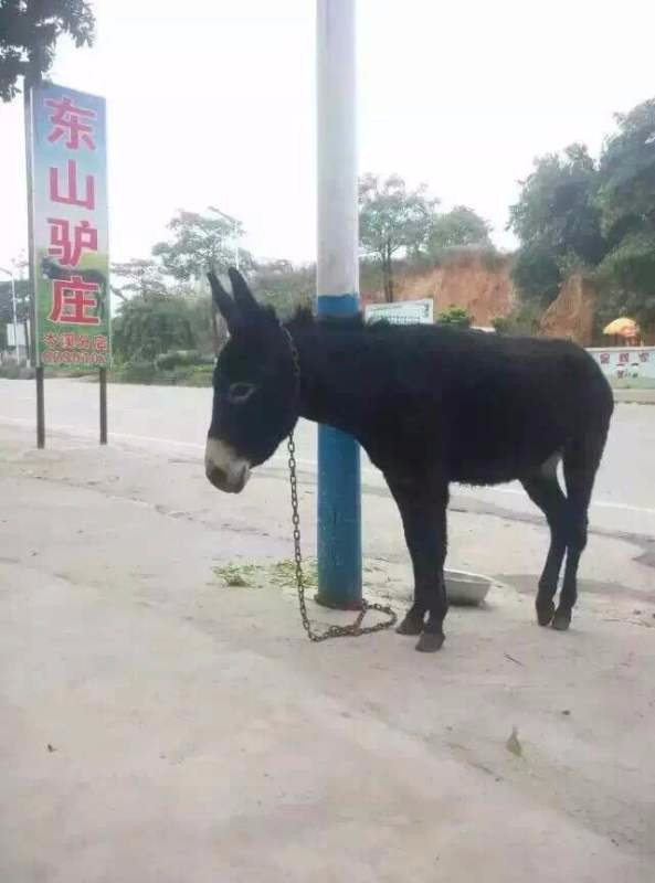 东山驴庄(岑溪店)