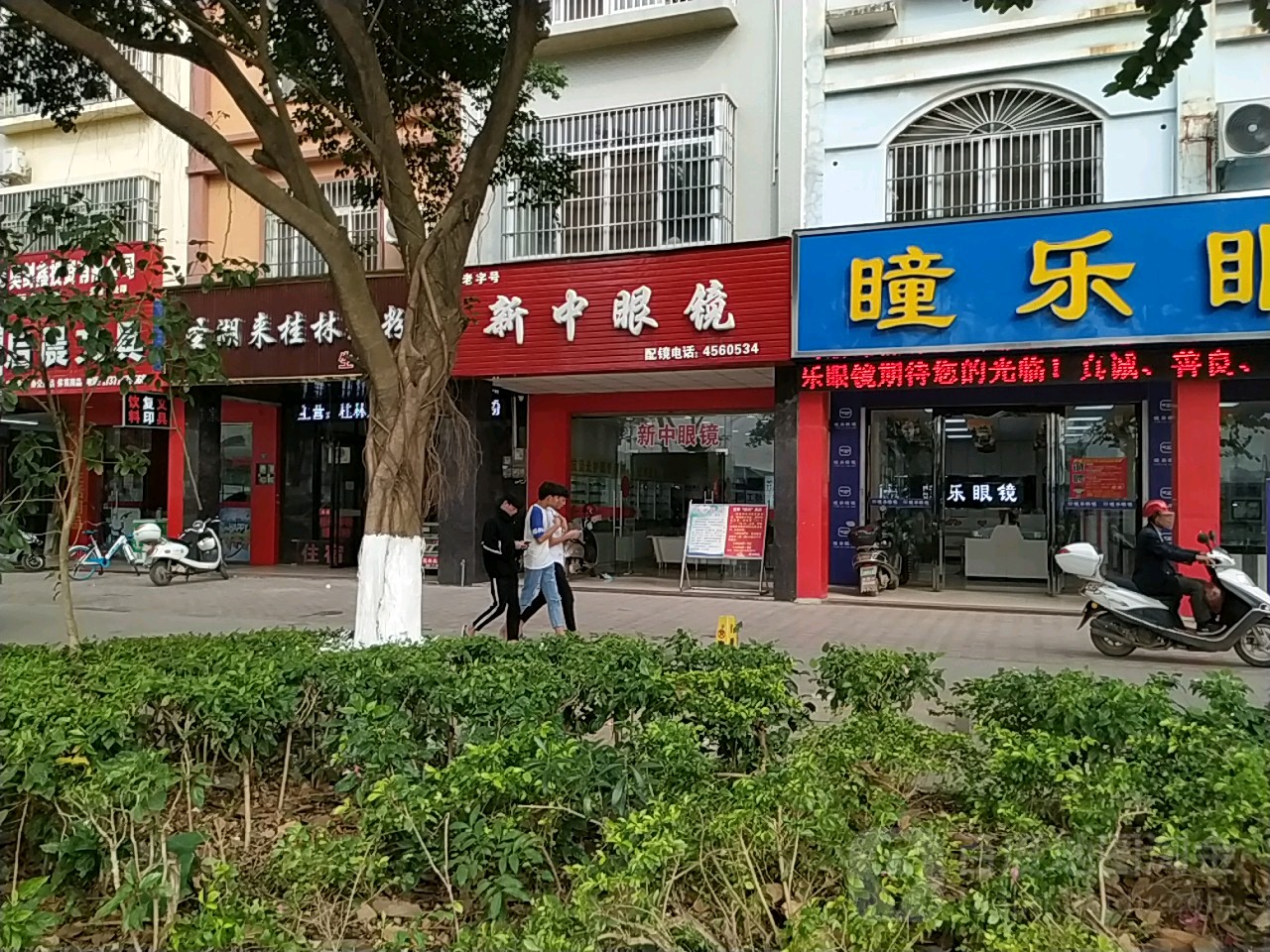 中学眼镜(金港大道店)