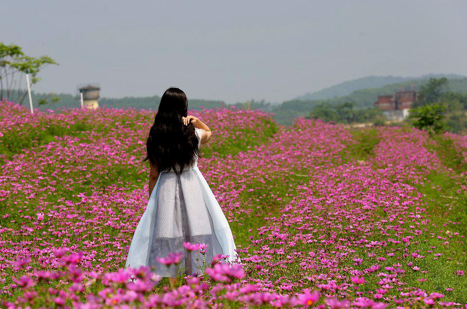 亿仓花海