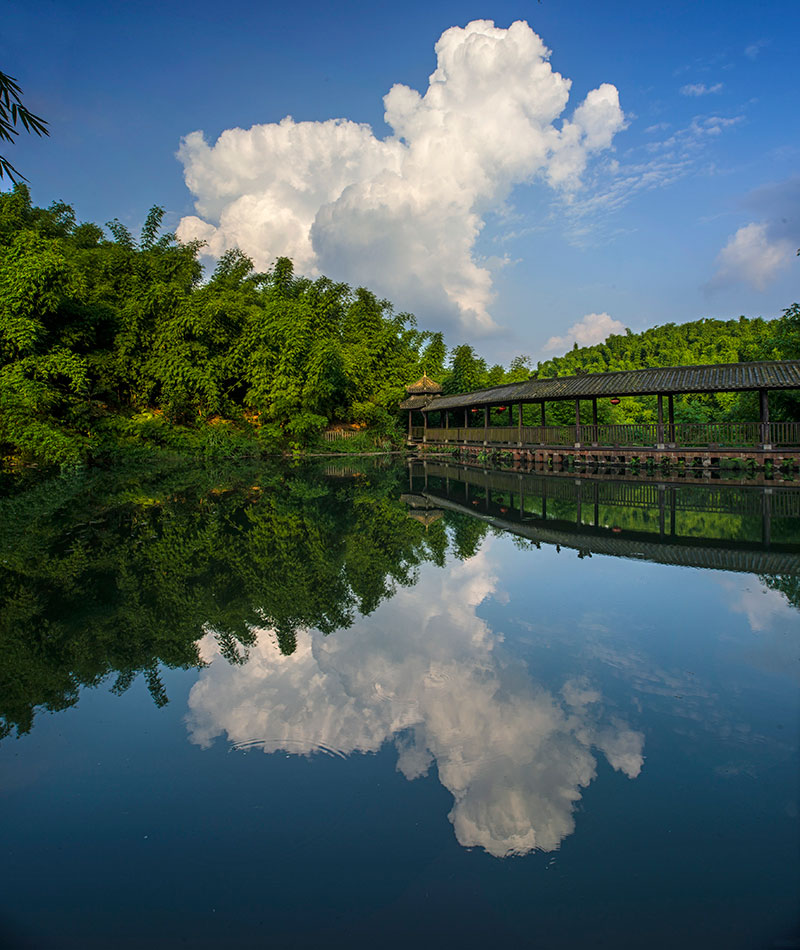 地址(位置,怎么去,怎么走):  乐山市沐川县(川西竹海)