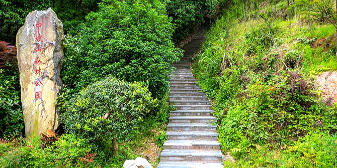 中坡病山森林公园