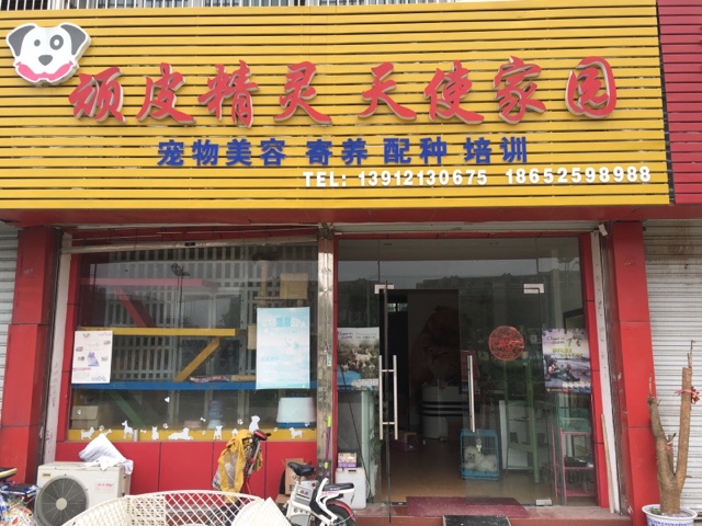 顽皮精灵天使家园(念香苑店)