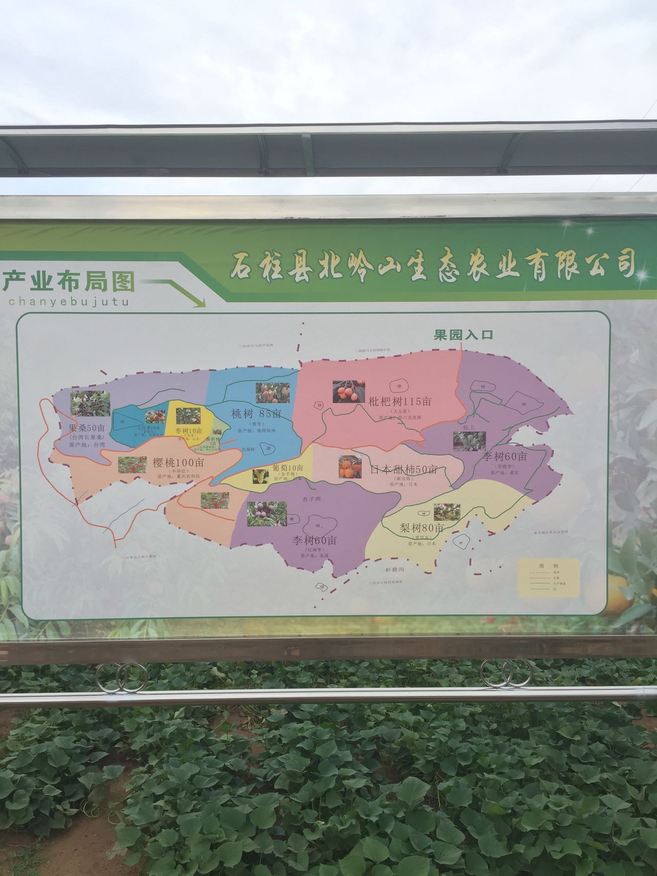 北岭山生态采摘园