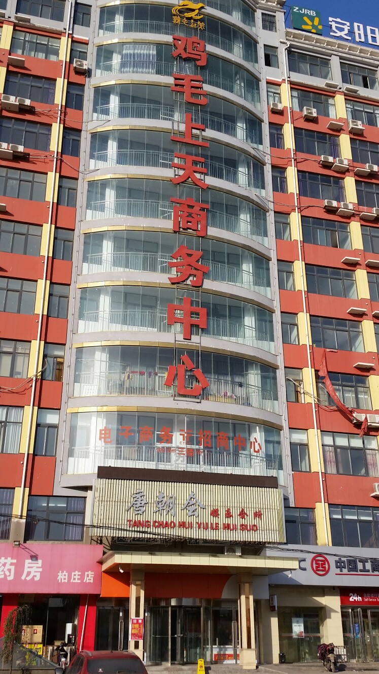安阳鸡毛上天商务中心