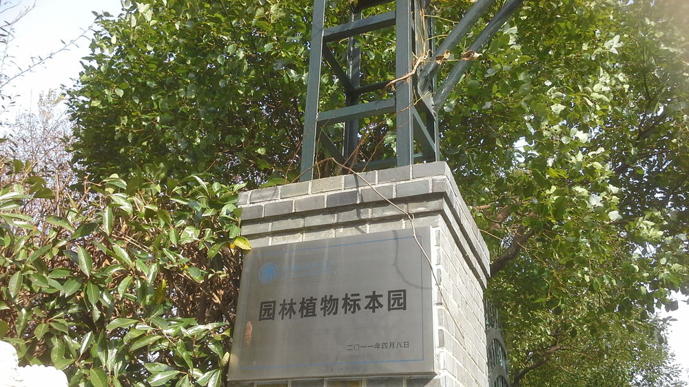 上海交通大学城-园林植物标本园(闵行校区)