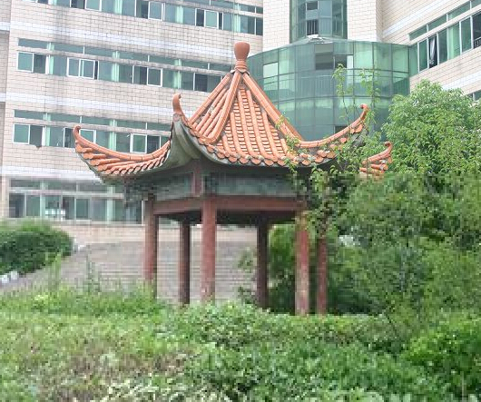 大悟县城关中学