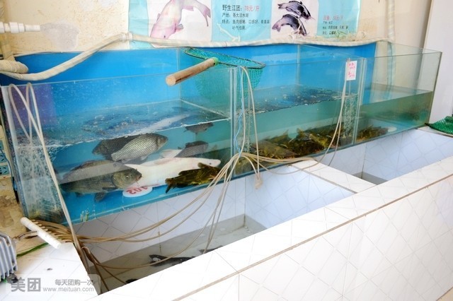 大锅炖鱼部落(体育场店)