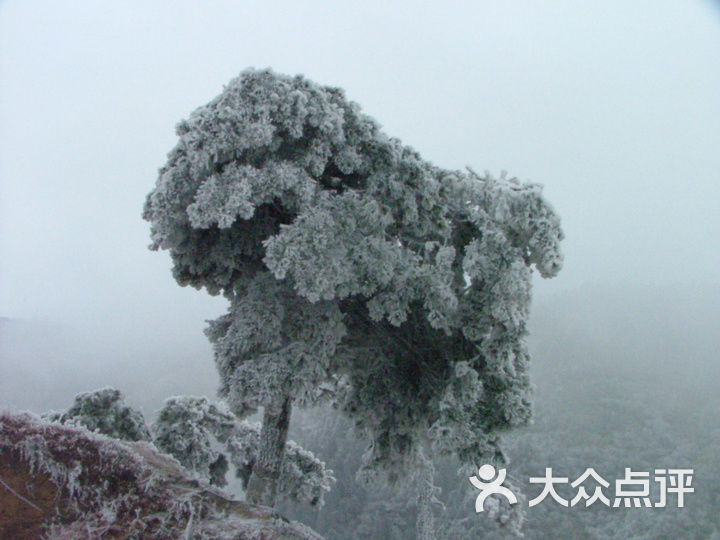 东莞青旅(怡安街)