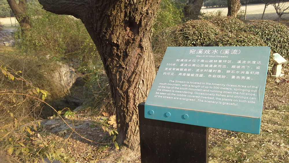 宛溪戏水·溪流
