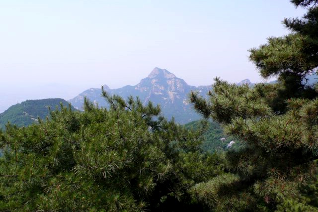 山东省泰安市泰山区