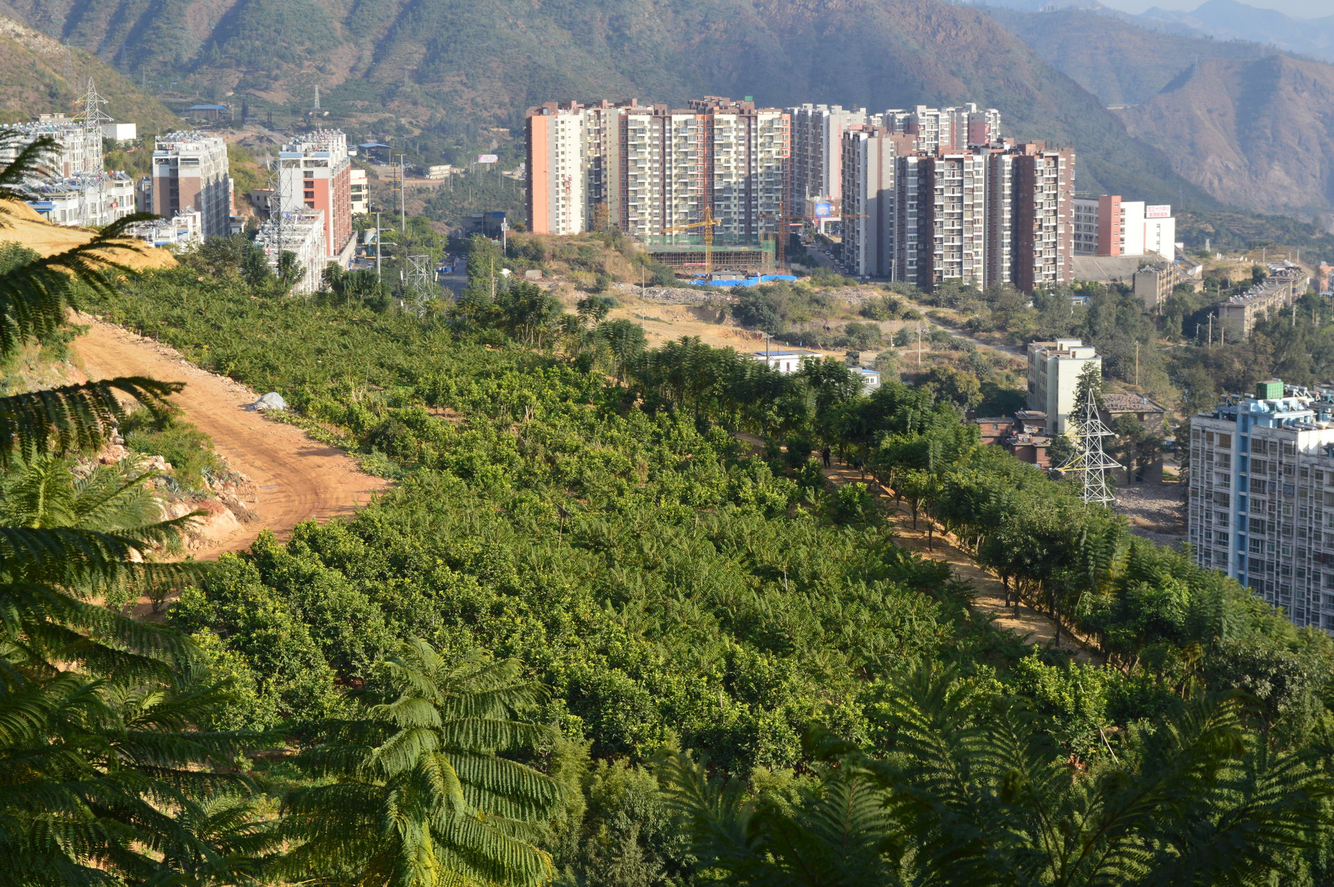 西佛山景區_攀枝花_百度地圖